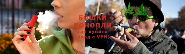 тгк Бронницы