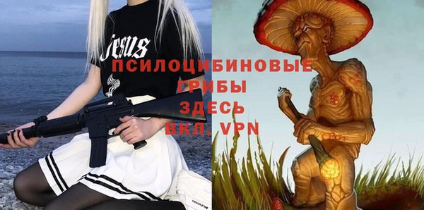 дмт Белоозёрский