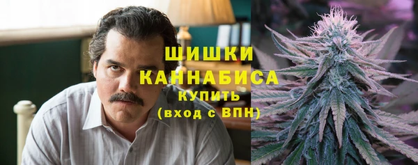 тгк Бронницы