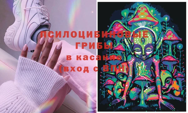 меф Бородино