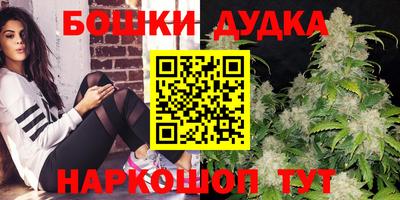 соль ск Новозыбков