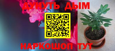 соль ск Новозыбков