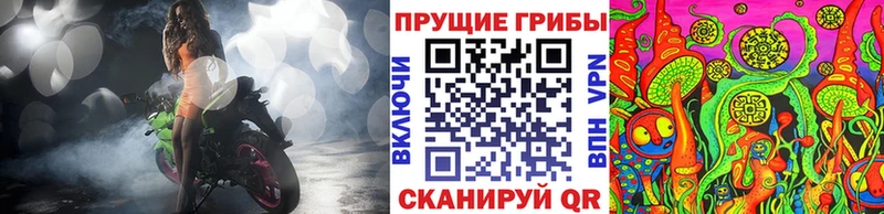 даркнет сайт  Улан-Удэ  Псилоцибиновые грибы мухоморы 